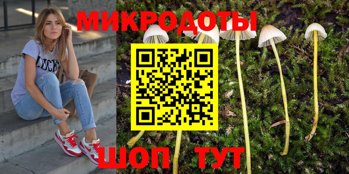 Псилоцибиновые грибы MAGIC MUSHROOMS  Вход с VPN  Избербаш 