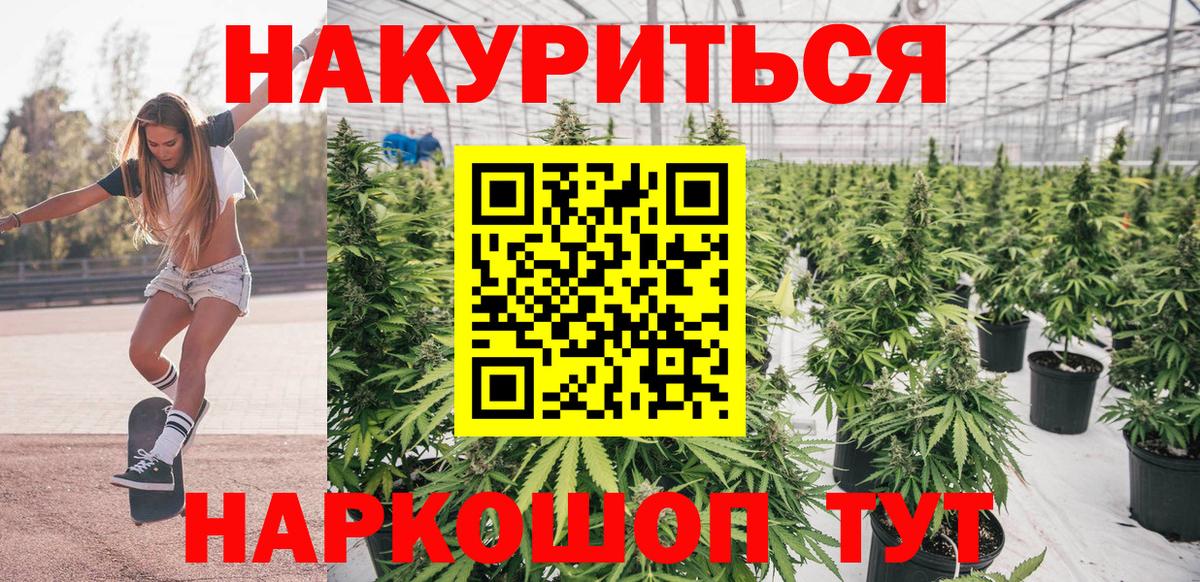 Конопля гибрид Избербаш